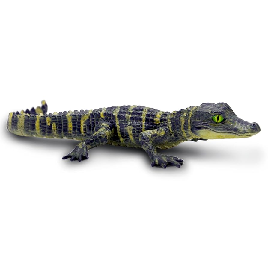 Naef　Alligator　プルトイ Amazon.com: Safari Ltd. Alligator Baby Figurine - Detailed